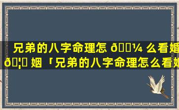 兄弟的八字命理怎 🐼 么看婚 🦈 姻「兄弟的八字命理怎么看婚姻好不好」